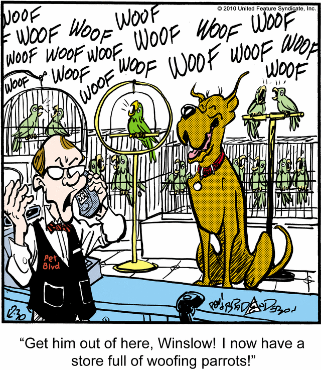marmaduke
